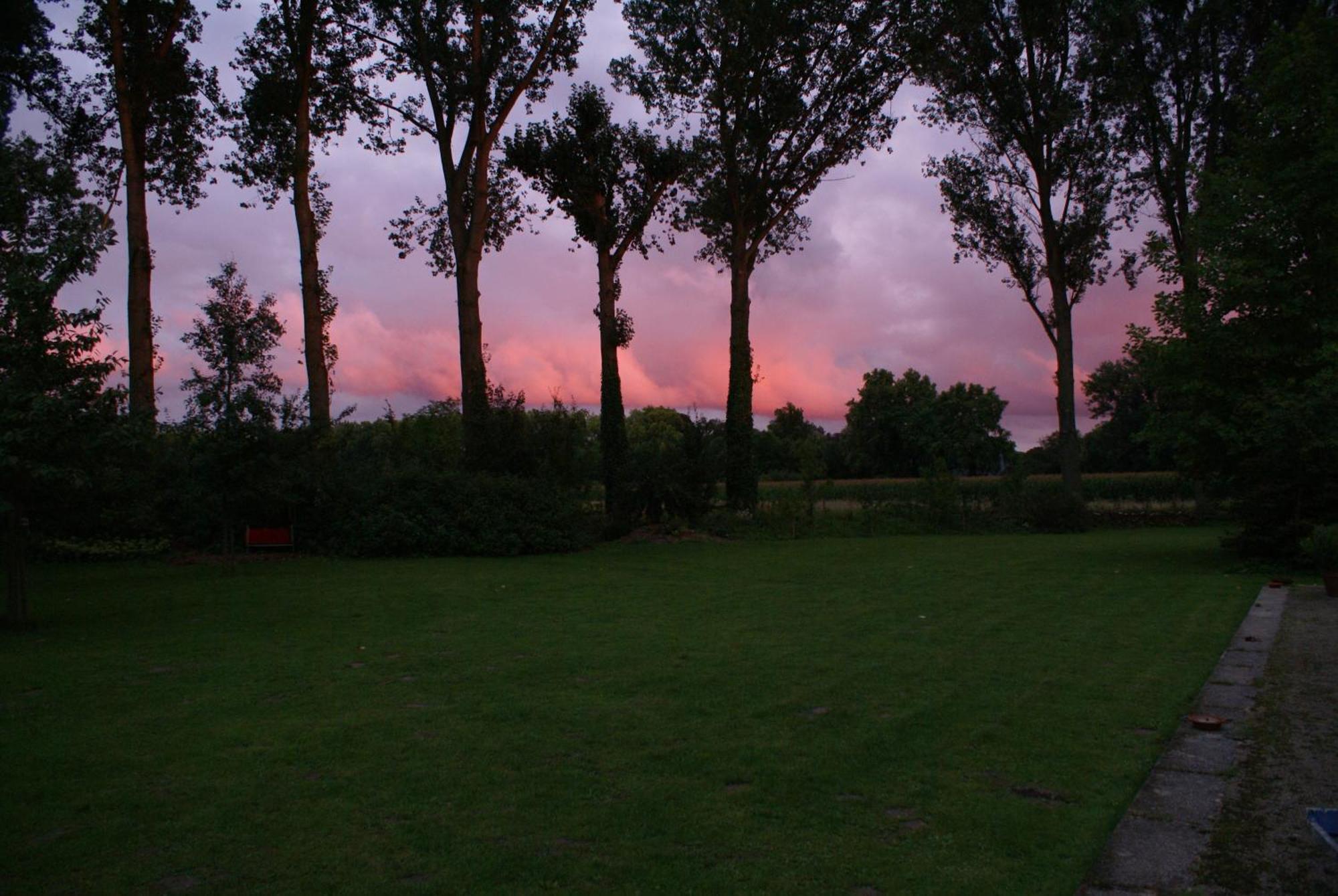 B&B De Metstermolen Sint-Truiden Buitenkant foto