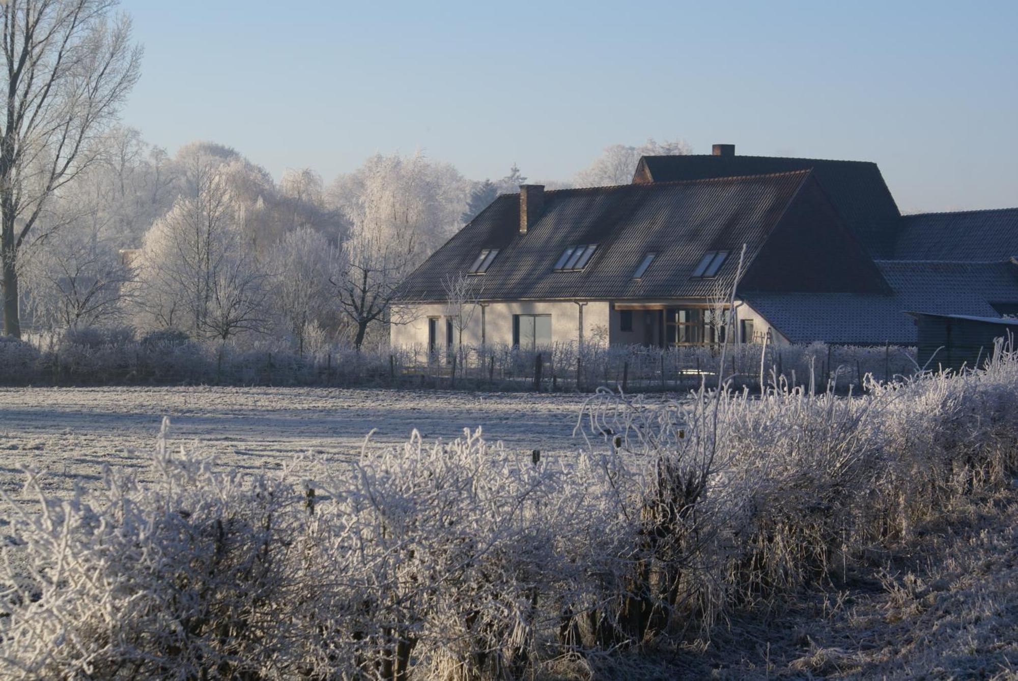 B&B De Metstermolen Sint-Truiden Buitenkant foto