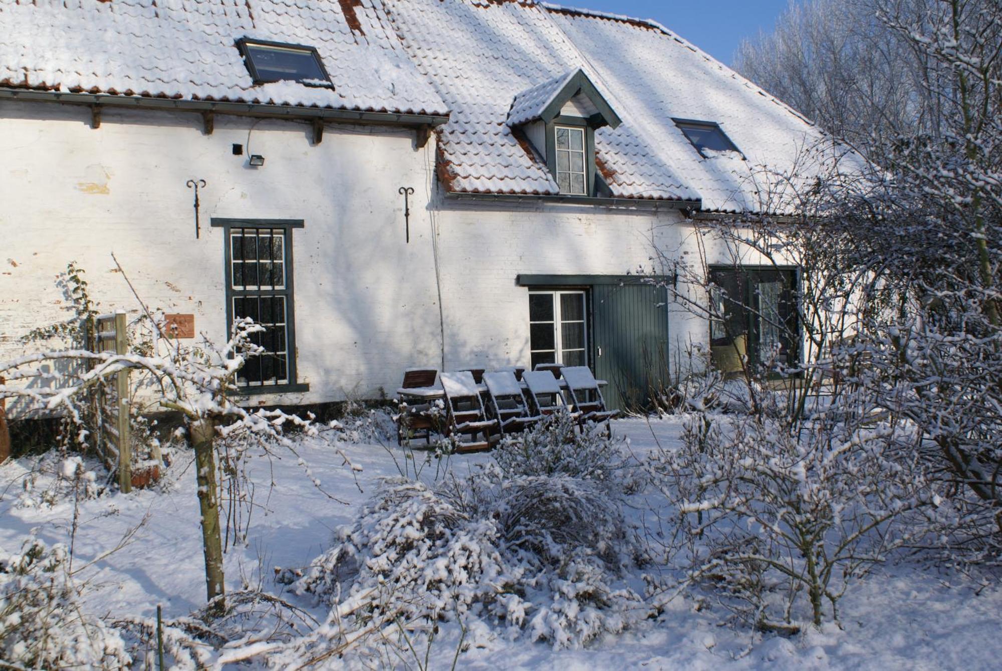 B&B De Metstermolen Sint-Truiden Buitenkant foto