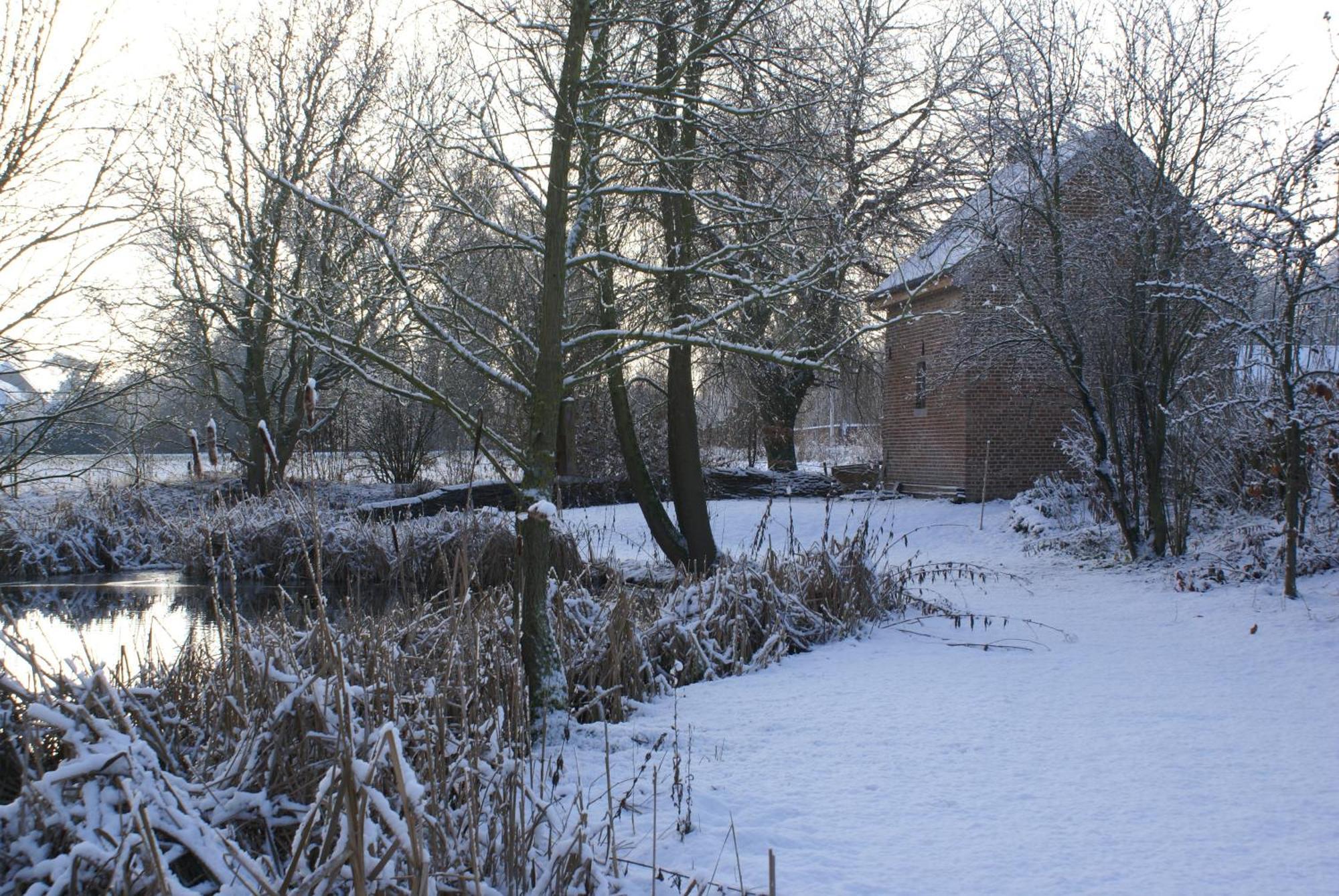 B&B De Metstermolen Sint-Truiden Buitenkant foto